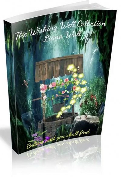 The wishing well collection by Lione Wall