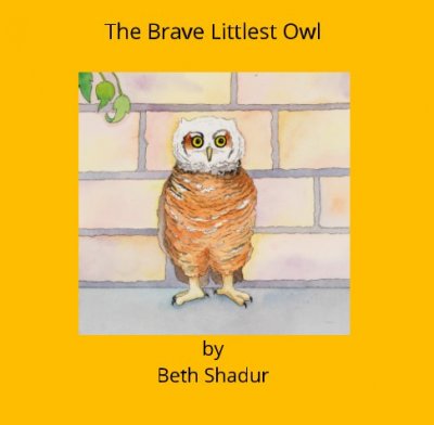 The Brave Littlest Owl by Beth Shadur