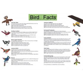 bird facts from Who will be my friend by Jeanne Styczinski