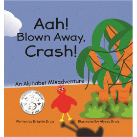 Ash blown away crash an alphabet misadventure by Brigitte Brulz