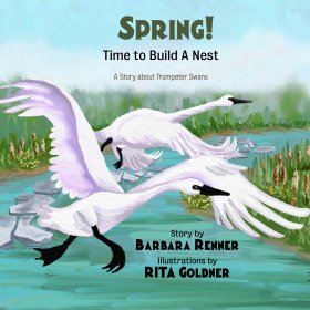 Spring! Time to Build a Nest by Barbara Renner